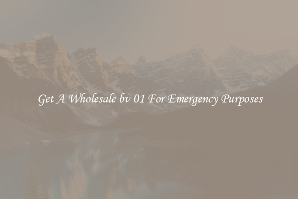 Get A Wholesale bv 01 For Emergency Purposes