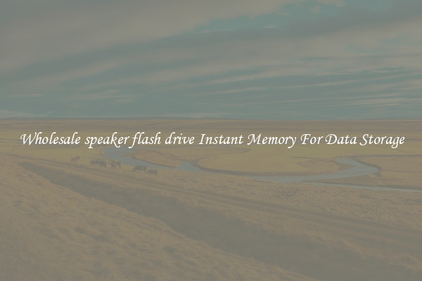 Wholesale speaker flash drive Instant Memory For Data Storage