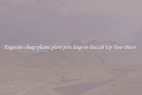 Exquisite cheap plastic plant pots large to Dazzle Up Your Décor  