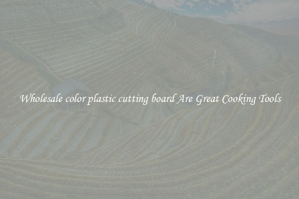 Wholesale color plastic cutting board Are Great Cooking Tools