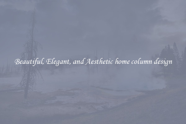 Beautiful, Elegant, and Aesthetic home column design