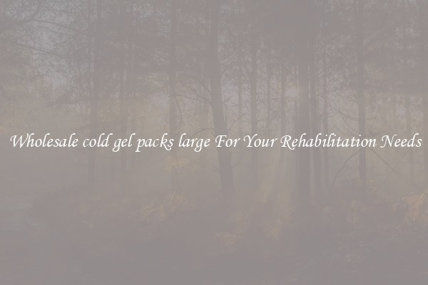 Wholesale cold gel packs large For Your Rehabilitation Needs