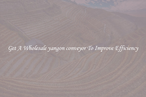 Get A Wholesale yangon conveyor To Improve Efficiency