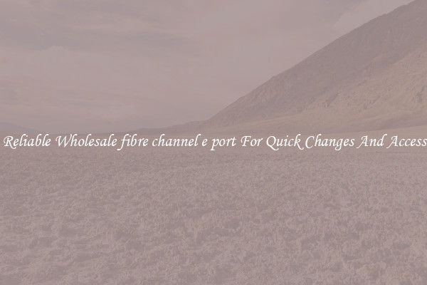 Reliable Wholesale fibre channel e port For Quick Changes And Access