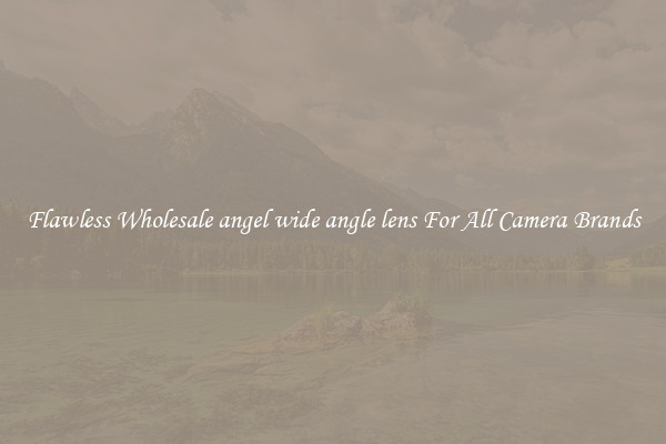 Flawless Wholesale angel wide angle lens For All Camera Brands