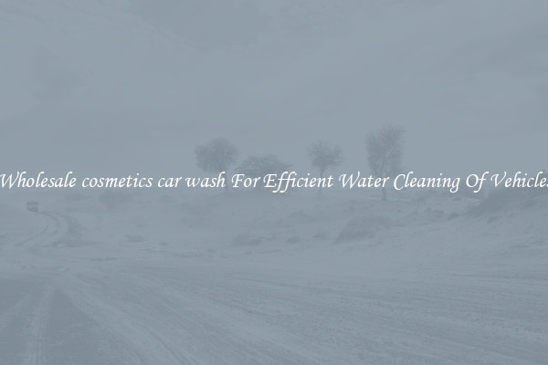 Wholesale cosmetics car wash For Efficient Water Cleaning Of Vehicles