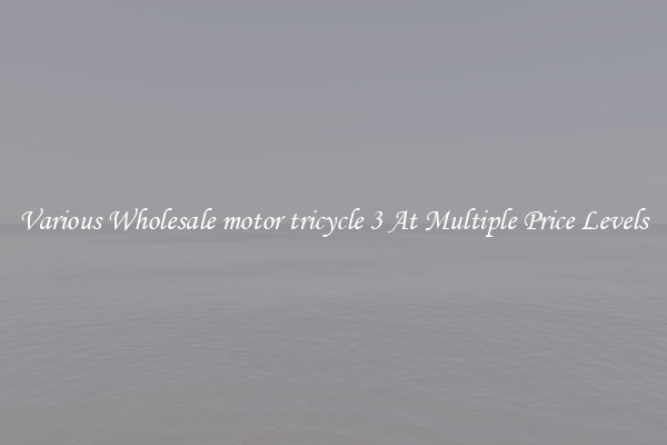 Various Wholesale motor tricycle 3 At Multiple Price Levels