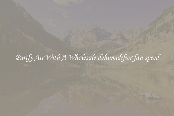Purify Air With A Wholesale dehumidifier fan speed