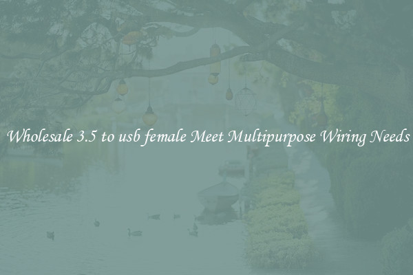 Wholesale 3.5 to usb female Meet Multipurpose Wiring Needs