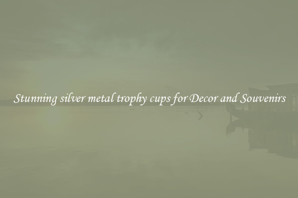 Stunning silver metal trophy cups for Decor and Souvenirs