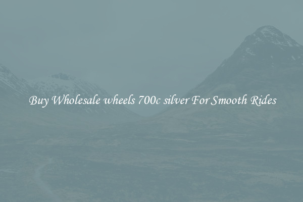 Buy Wholesale wheels 700c silver For Smooth Rides