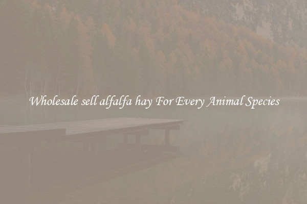 Wholesale sell alfalfa hay For Every Animal Species