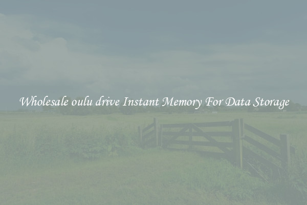 Wholesale oulu drive Instant Memory For Data Storage
