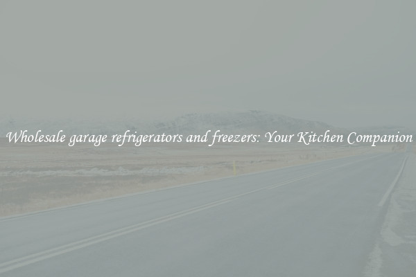 Wholesale garage refrigerators and freezers: Your Kitchen Companion