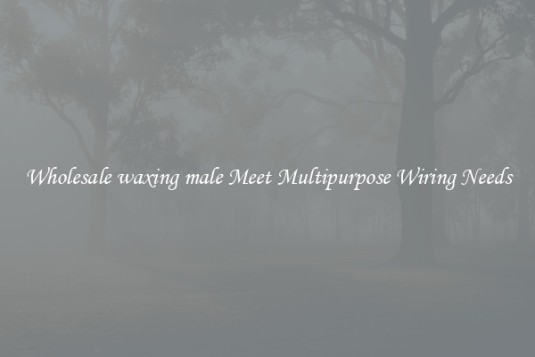 Wholesale waxing male Meet Multipurpose Wiring Needs