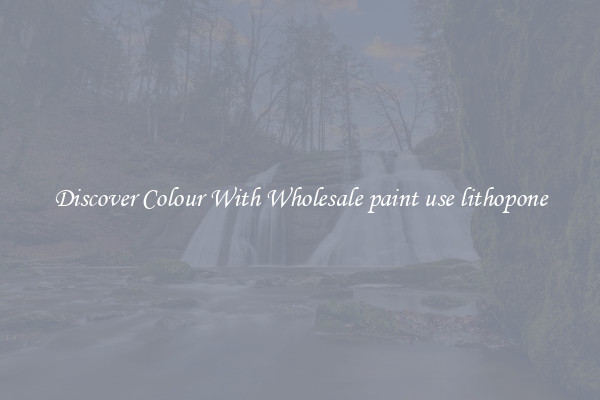 Discover Colour With Wholesale paint use lithopone