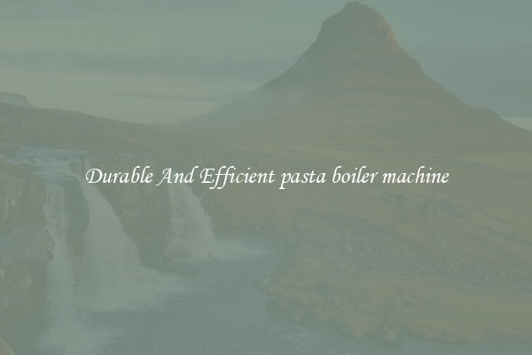 Durable And Efficient pasta boiler machine