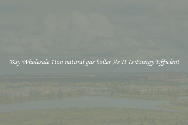 Buy Wholesale 1ton natural gas boiler As It Is Energy Efficient