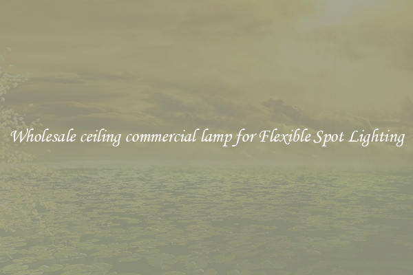 Wholesale ceiling commercial lamp for Flexible Spot Lighting