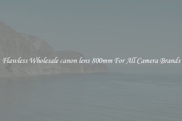 Flawless Wholesale canon lens 800mm For All Camera Brands