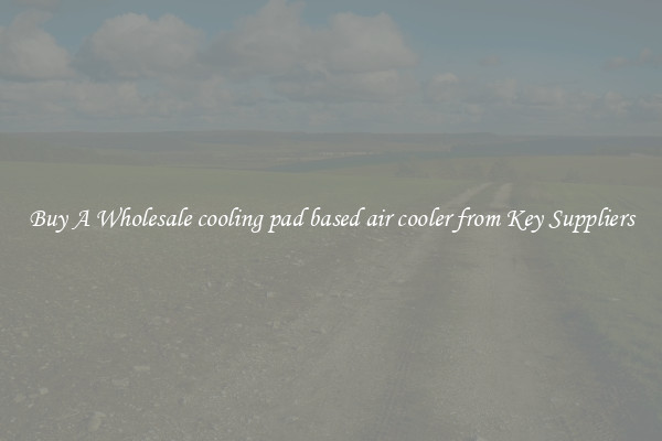 Buy A Wholesale cooling pad based air cooler from Key Suppliers