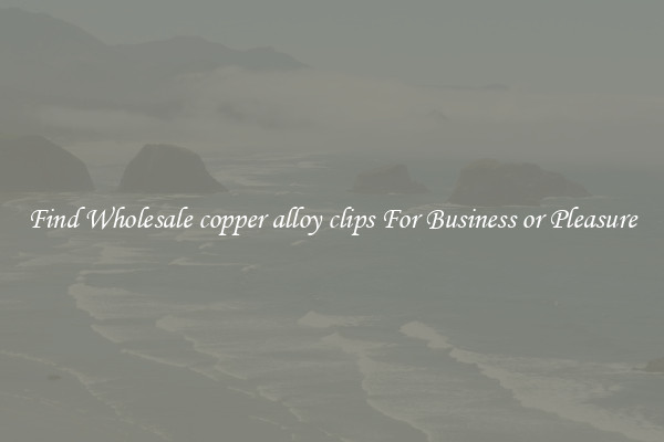 Find Wholesale copper alloy clips For Business or Pleasure