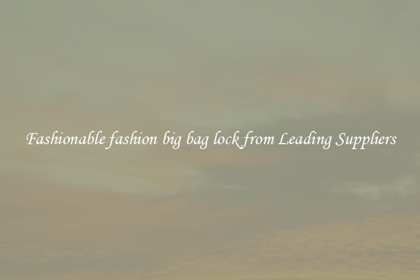 Fashionable fashion big bag lock from Leading Suppliers