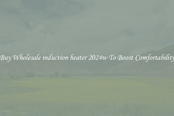 Buy Wholesale induction heater 2024w To Boost Comfortability
